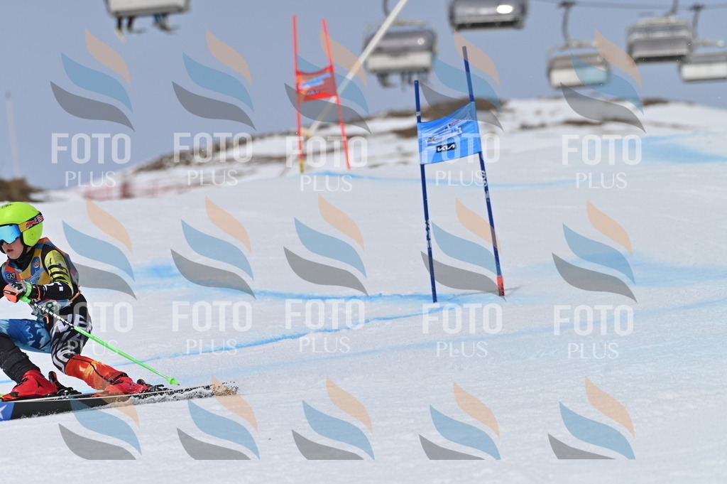 BGV_4919 | holidayphoto