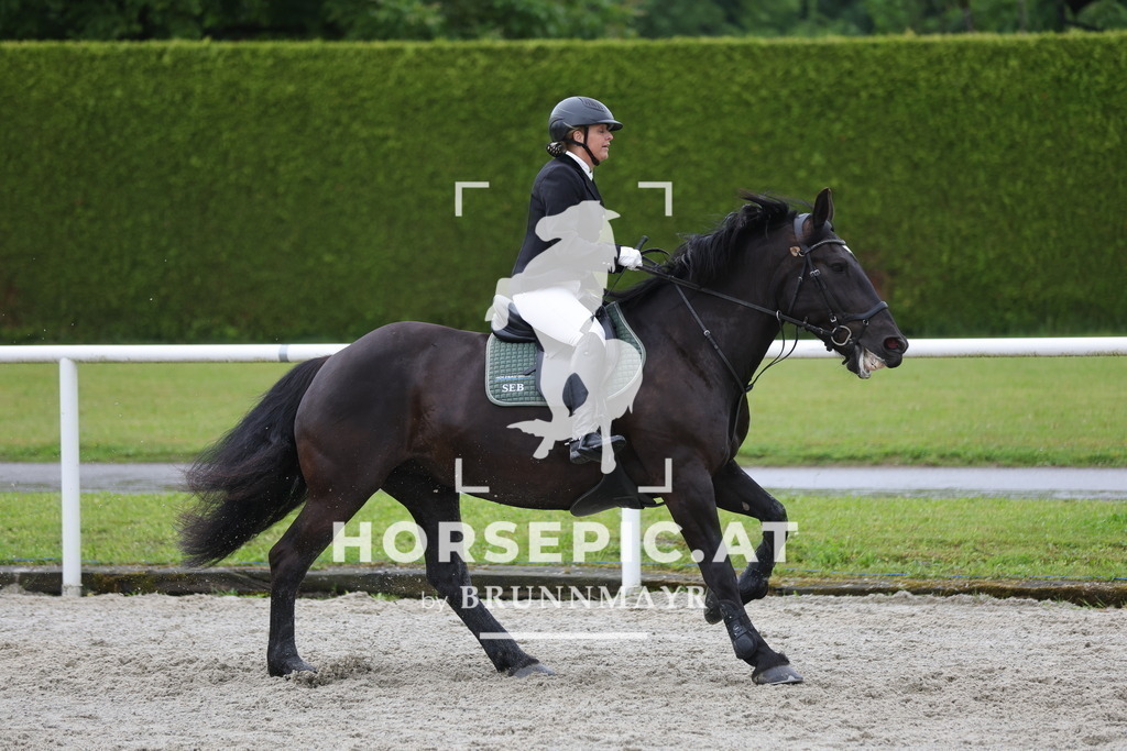 0P6A8255 | Willkommen bei Brunnmayr - Design & Fotografie – Ihrem Spezialisten für Reitturniere und Pferdeveranstaltungen in Oberösterreich, Salzburg und Bayern! Seit über 17 Jahren sind wir leidenschaftlich dabei.