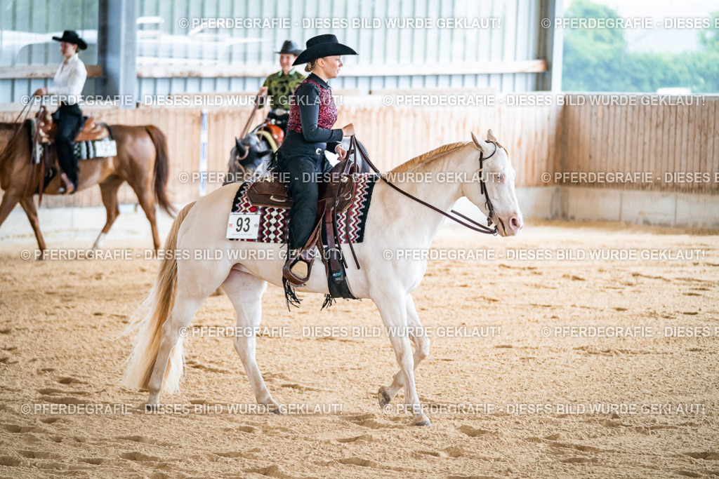 DSC01123 | Pferdegrafie