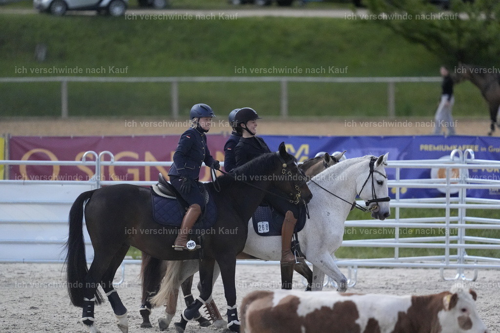PI26_COW_Stoibphotography_DSC5310.JPG | working equitationturnier fotograf videograf stoibphotography marixx film working equitation deutschland reitsport turnierfotografie eventfotografie equestrian events