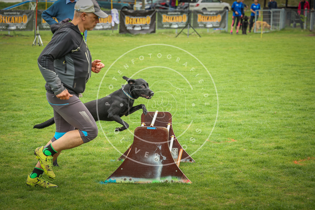 Pfotenfotografie_0L8A9549 | Hundefotografie, Tierfotograf, Pfotenfotografie, Fotoshooting Hund, Hunde Portrait, Hundesport, Hundeportraits, Heideshooting, Hunde, Sportfotograf, Hundefotograf, Turnierhundsport, THS,  - Realisiert mit Pictrs.com