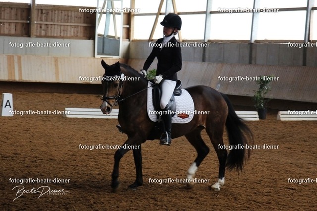 JugendTrophy0051 | Fotografie, Tiere, Hunde, Katzen, Pferde, Sportfotografie, Fotosession, Tierfotografie, Turnierfotografie, Fotografin, Fotograf - Realisiert mit Pictrs.com