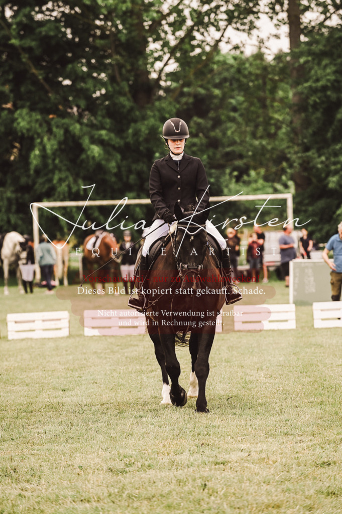 DSC_5135 | Pferde- und Turnierfotografie in Westsachsen. Pferdeportraits, Auftragszeichnungen und intuitive Kunst.