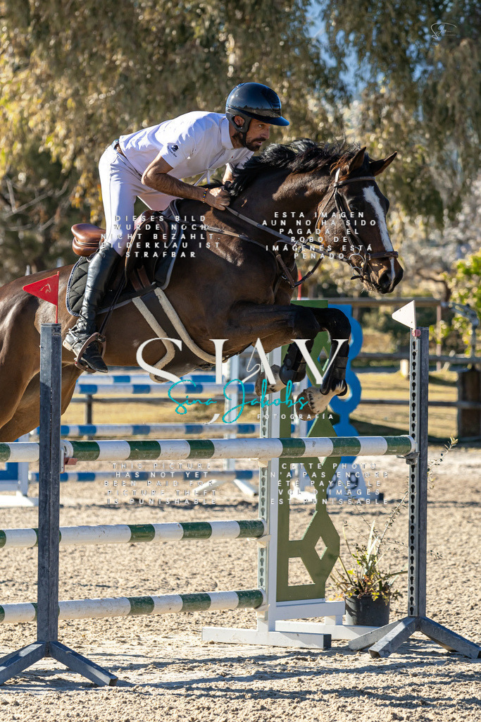 IMG_1893 | s-jay-photography - Realisiert mit Pictrs.com