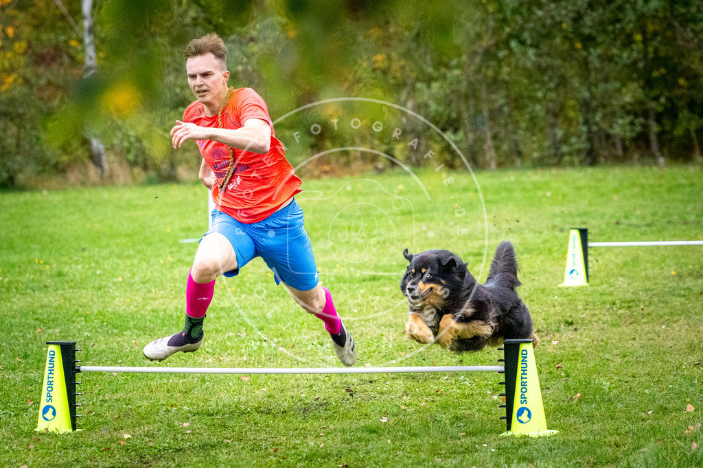 Pfotenfotografie_DV3A1575 | Hundefotografie, Tierfotograf, Pfotenfotografie, Fotoshooting Hund, Hunde Portrait, Hundesport, Hundeportraits, Heideshooting, Hunde, Sportfotograf, Hundefotograf, Turnierhundsport, THS,  - Realisiert mit Pictrs.com