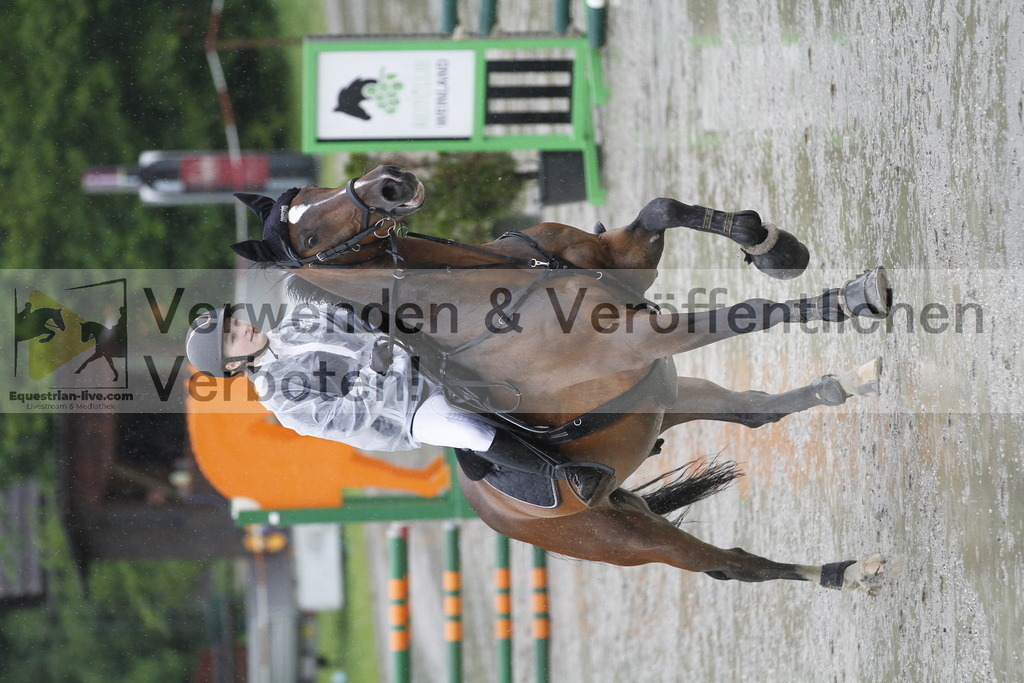 _MG_4982 | equestrian-live-com