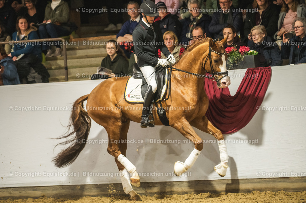 20240302_Hengstvorstellung_Marbach_TOMsPiC_0559-2 | equistock