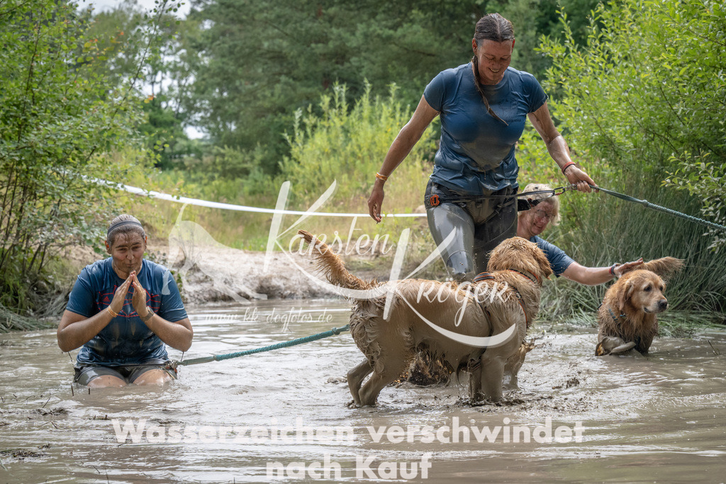 1455_ZZ94340 | kk-dogfotos