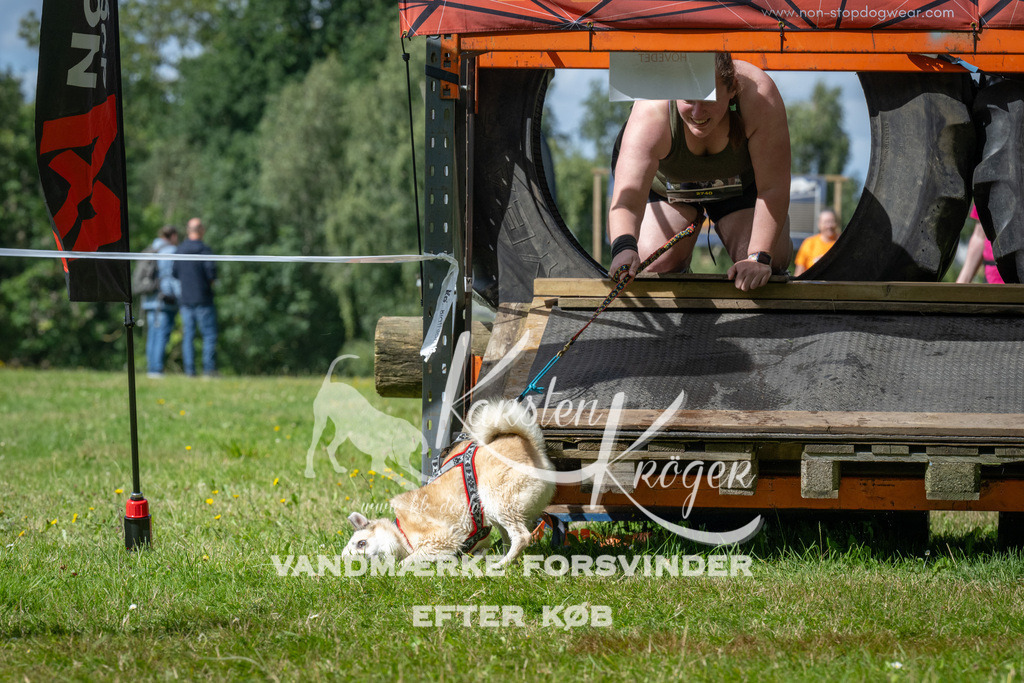 1540_ZZ93653 | kk-dogfotos