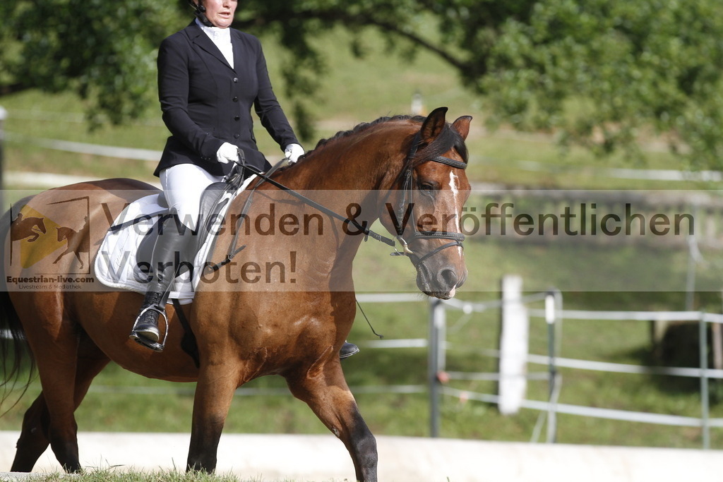 _MG_0120 | equestrian-live-com