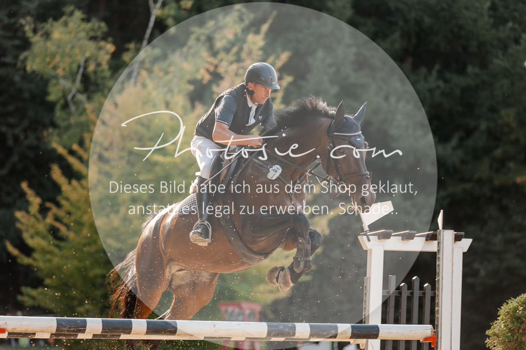 3I6A5266 | Stimmungsvolle Portraits und Reitsportfotografie im Ruhrgebiet und im Münsterland.

Pferdefotografie, Hundefotografie, Tierfotografie, Reportagen, Portraits von Tier und Mensch, Turnierfotografie in Bochum, Recklinghausen, Marl, Haltern am See, Dülmen.. - Realisiert mit Pictrs.com