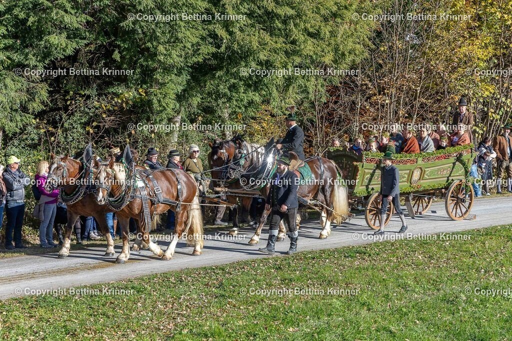 LBT25-783 | foto-bettina-krinner - Realisiert mit Pictrs.com