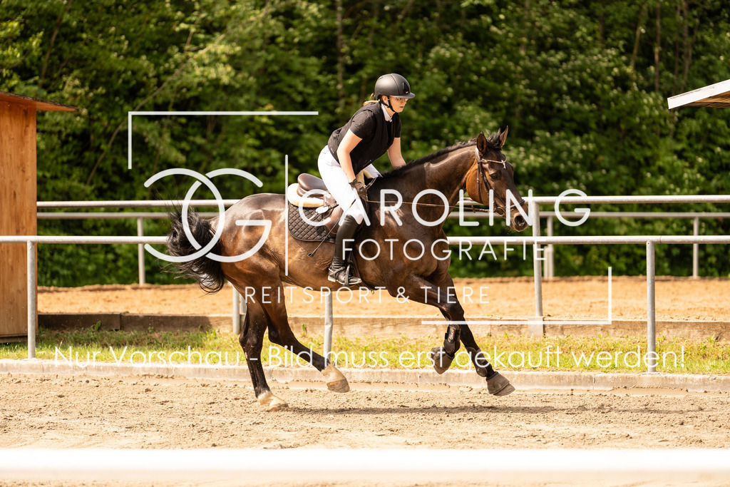 DSC02420 | Carolin Gieschke