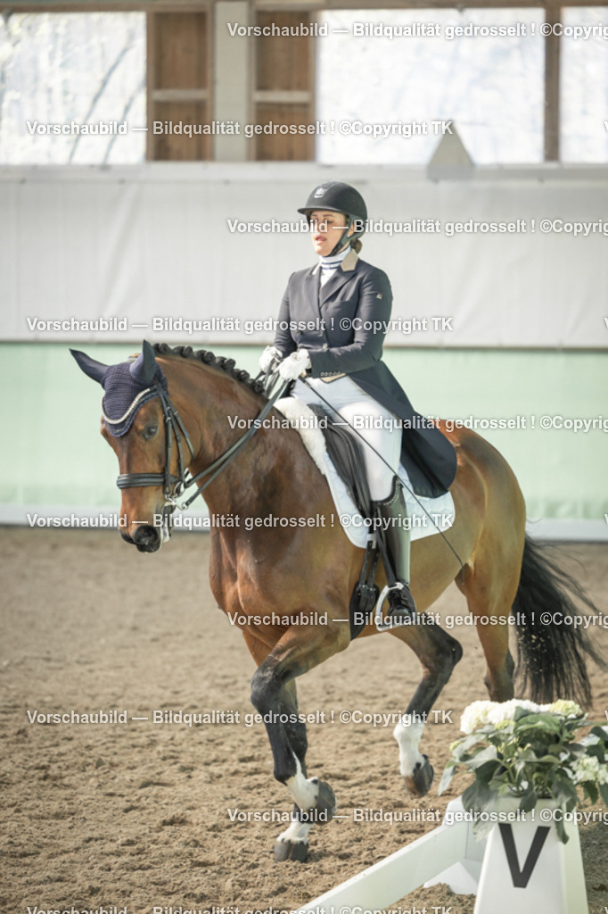 _D5A1957 | Emotionale Pferde- & People-Fotografie rund um Heidelberg, Leimen & Umgebung. Natürliche Fotos von Pferd, Mensch & Familie. Jetzt Termin sichern!
