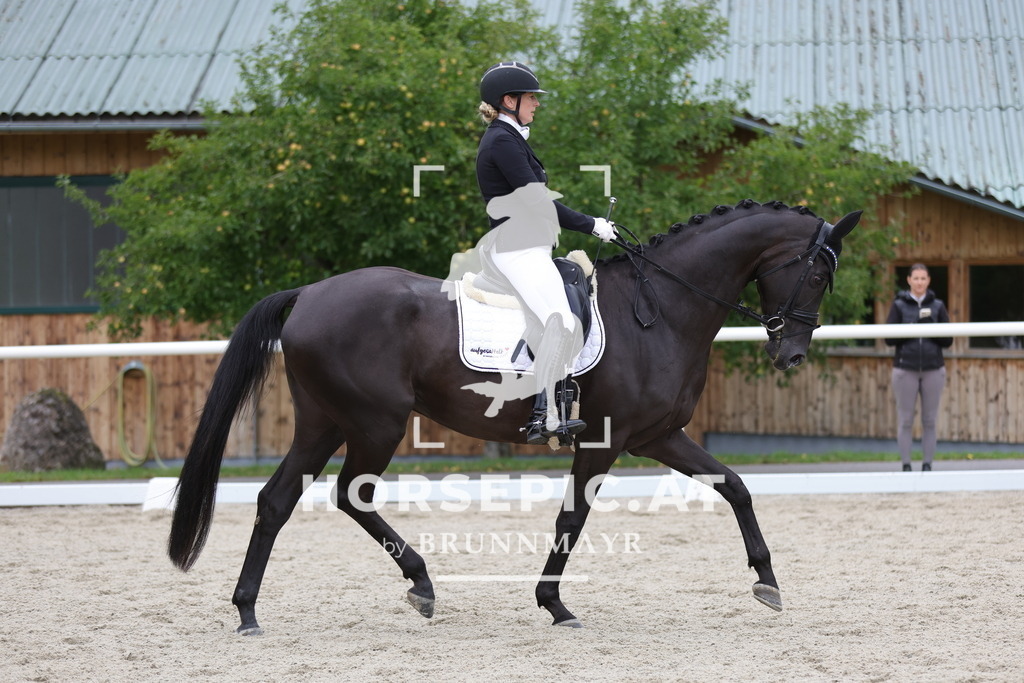 0P6A9136 | Willkommen bei Brunnmayr - Design & Fotografie – Ihrem Spezialisten für Reitturniere und Pferdeveranstaltungen in Oberösterreich, Salzburg und Bayern! Seit über 17 Jahren sind wir leidenschaftlich dabei.