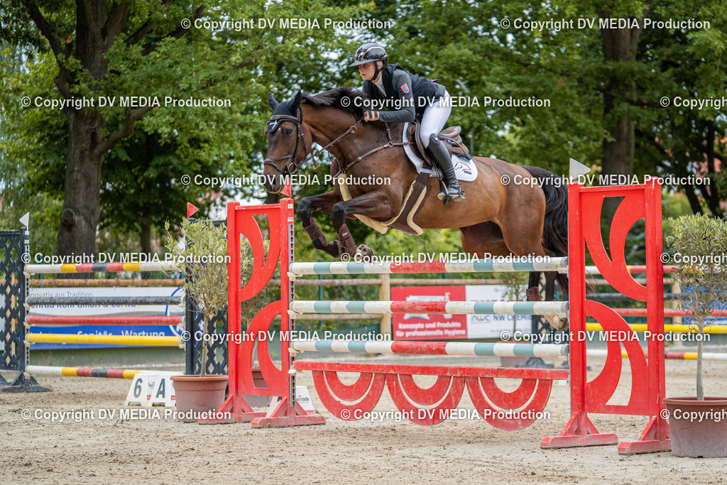 Hessische Tag 3-1269 | dv-media-shop - Realisiert mit Pictrs.com