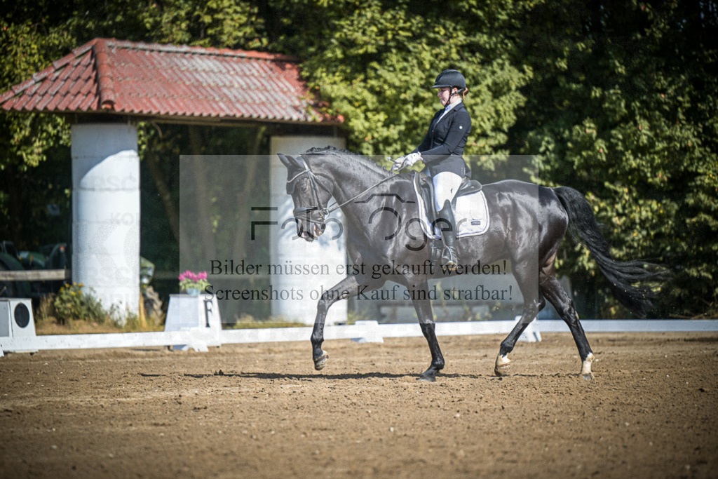 DOS_3515 | Entdecke hochwertige Reitturnierfotos von Foto Oger. Professionell, emotional und authentisch – jetzt Lieblingsmomente im Shop bestellen.Deutschlandweite Turnierfotografie. - Realisiert mit Pictrs.com
