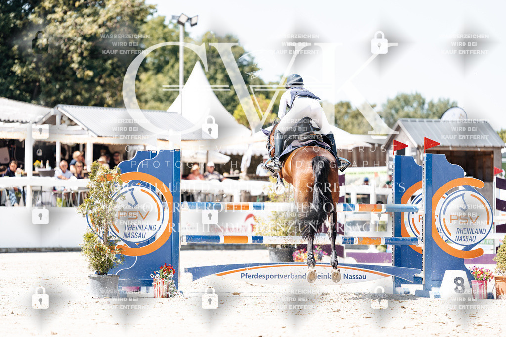 CK909906 | Turnierfotografie Pferdefotografie Trier Rheinland-Pfalz Pferdesport Reitsport Tierfotografie Sportfotografie Pferdevideo Pferdevideografie Equestrianvideography equestrianphotography  - Realisiert mit Pictrs.com