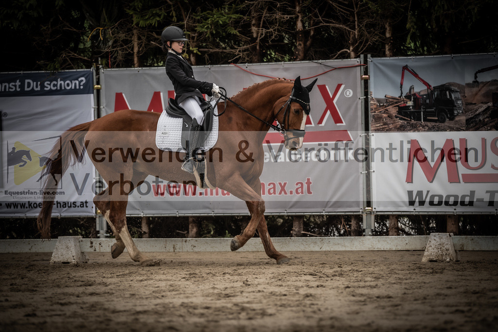 DSC_0271 | equestrian-live-com