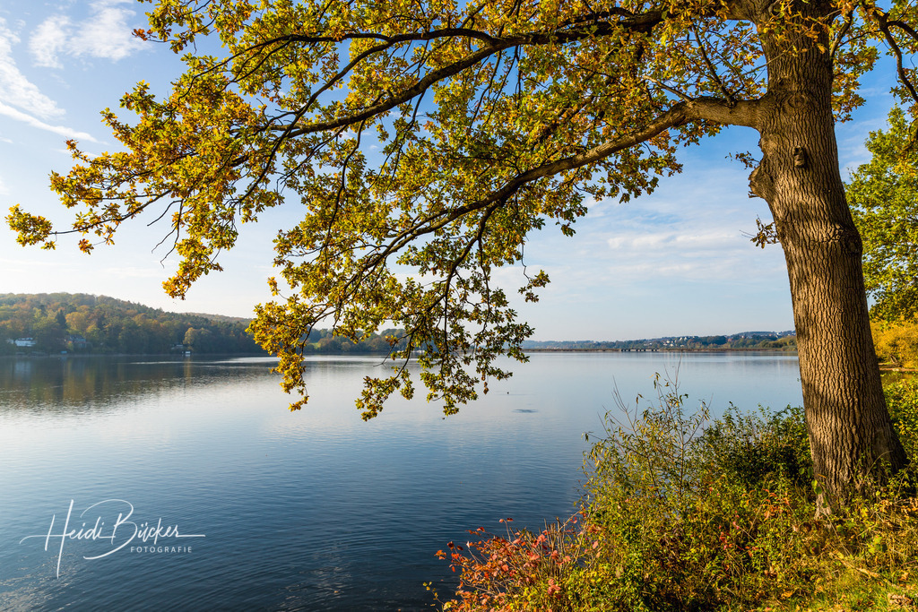 Möhnesee | Der Möhnesee liegt am Rand des Sauerlandes, zwischen Soester Börde und Arnsberger Wald - Realisiert mit Pictrs.com