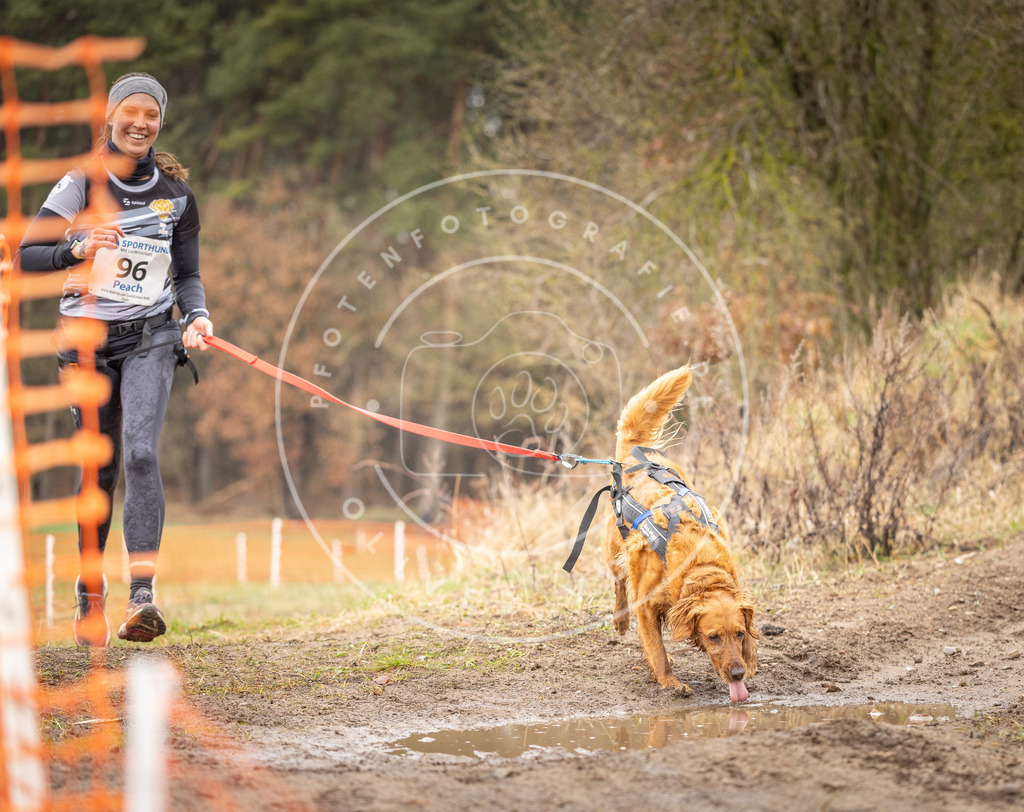DV3A0557 | Hundefotografie, Tierfotograf, Pfotenfotografie, Fotoshooting Hund, Hunde Portrait, Hundesport, Hundeportraits, Heideshooting, Hunde, Sportfotograf, Hundefotograf, Turnierhundsport, THS,  - Realisiert mit Pictrs.com