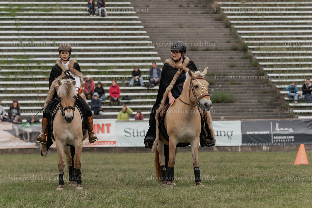 Showprogramm-332 | working equitationturnier fotograf videograf stoibphotography marixx film working equitation deutschland reitsport turnierfotografie eventfotografie equestrian events