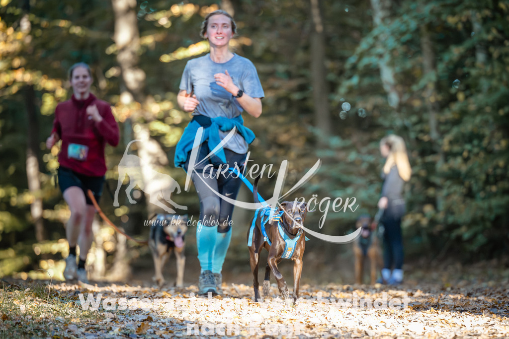 1001_ZZ98942 | kk-dogfotos
