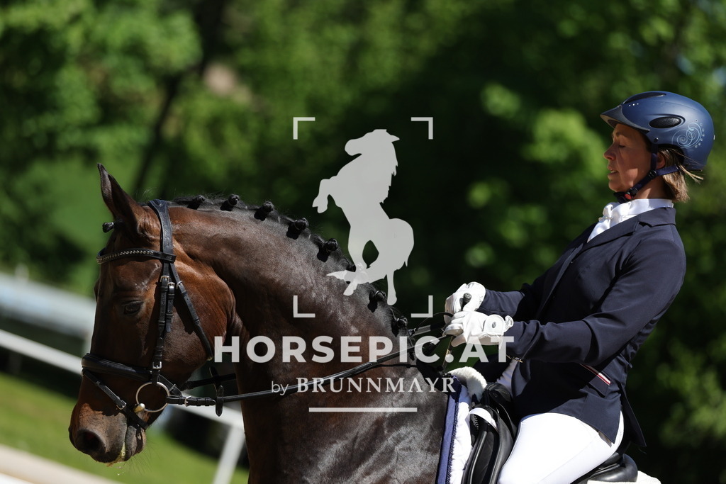 0P6A0857 | Willkommen bei Brunnmayr - Design & Fotografie – Ihrem Spezialisten für Reitturniere und Pferdeveranstaltungen in Oberösterreich, Salzburg und Bayern! Seit über 17 Jahren sind wir leidenschaftlich dabei.