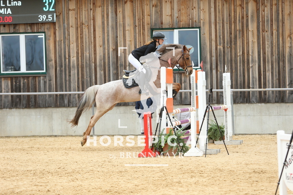 DL2Q2613 | Willkommen bei Brunnmayr - Design & Fotografie – Ihrem Spezialisten für Reitturniere und Pferdeveranstaltungen in Oberösterreich, Salzburg und Bayern! Seit über 17 Jahren sind wir leidenschaftlich dabei.