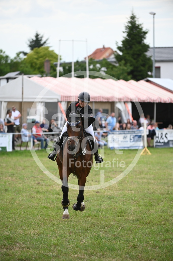 DSC_3854 | sattelsport - Realisiert mit Pictrs.com