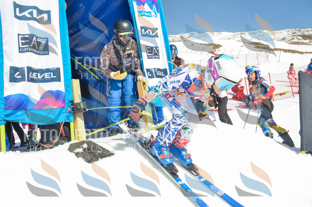 _ELE5903 | holidayphoto