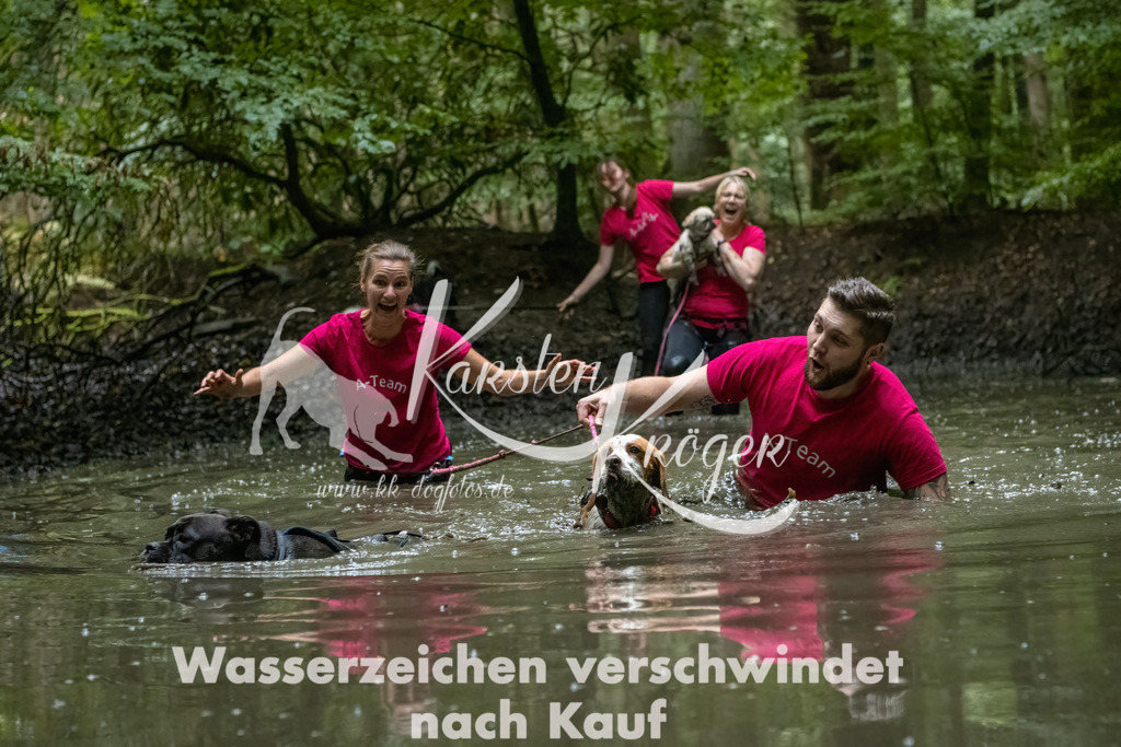 1143_ZZ91067-Bearbeitet-2 | kk-dogfotos