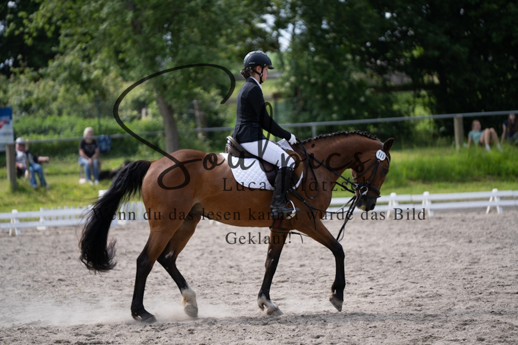 A7V02598 | Pferdefotograf