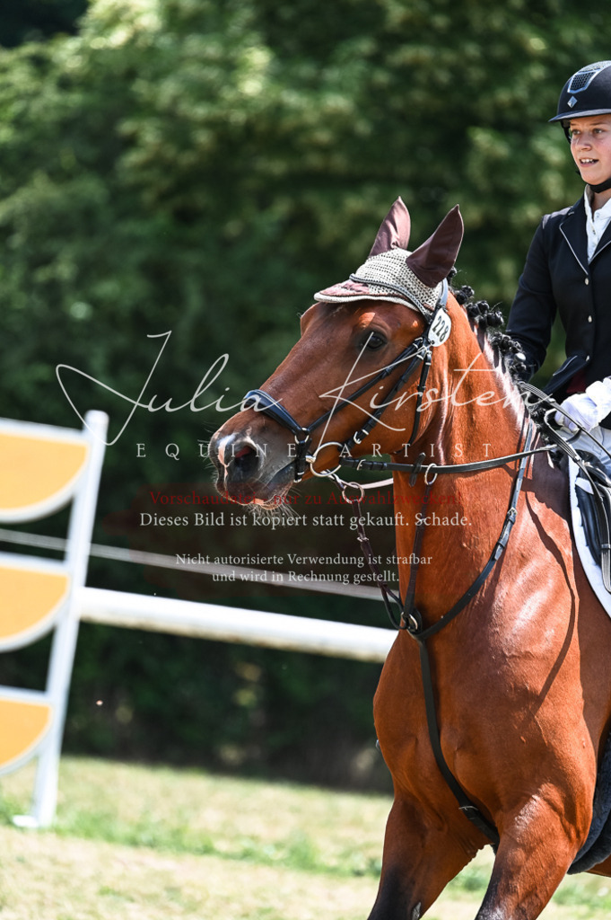 DSC_9576 | Pferde- und Turnierfotografie in Westsachsen. Pferdeportraits, Auftragszeichnungen und intuitive Kunst.