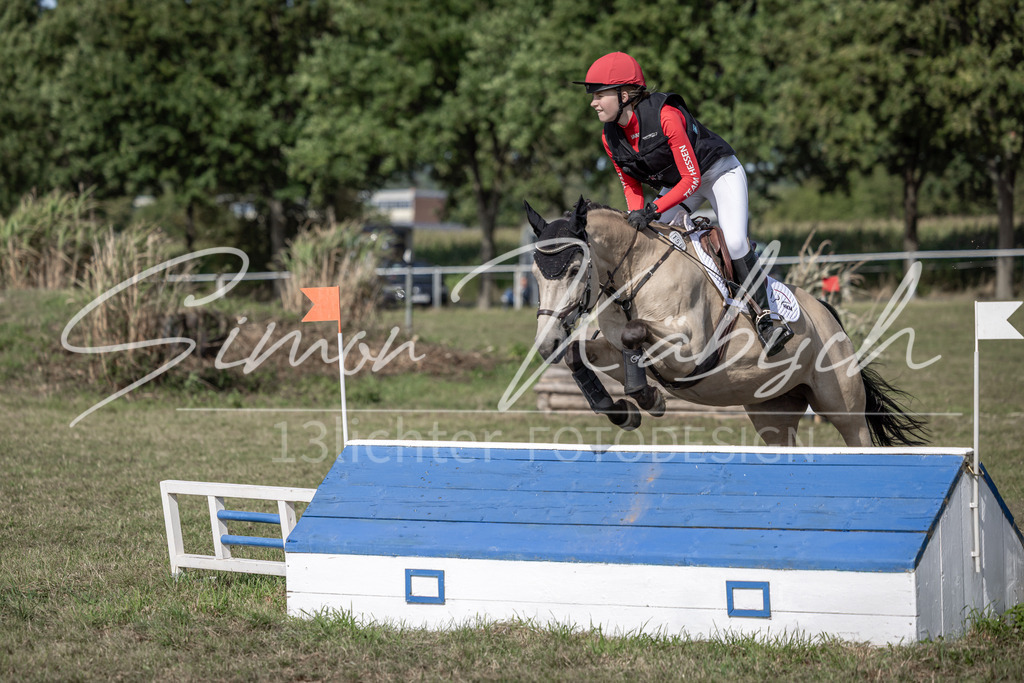 20250907-_3LI9703 | Tierfotografie Pferde, Hunde, Katzen, Haustiere.
Turnierfotografie Reitturniere, Reiten, Springreiten, Dressur in Hanau, dem Main-Kinzig-Kreis und dem Rhein-Main- Gebiet um Frankfurt