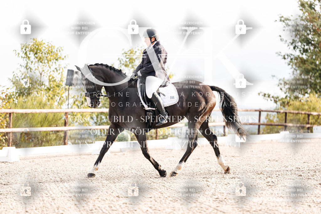 CK900307 | Turnierfotografie Pferdefotografie Trier Rheinland-Pfalz Pferdesport Reitsport Tierfotografie Sportfotografie Pferdevideo Pferdevideografie Equestrianvideography equestrianphotography  - Realisiert mit Pictrs.com