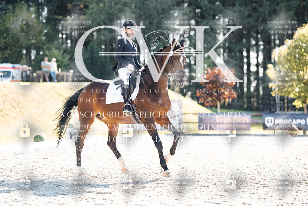 CK906502 | Turnierfotografie Pferdefotografie Trier Rheinland-Pfalz Pferdesport Reitsport Tierfotografie Sportfotografie Pferdevideo Pferdevideografie Equestrianvideography equestrianphotography  - Realisiert mit Pictrs.com