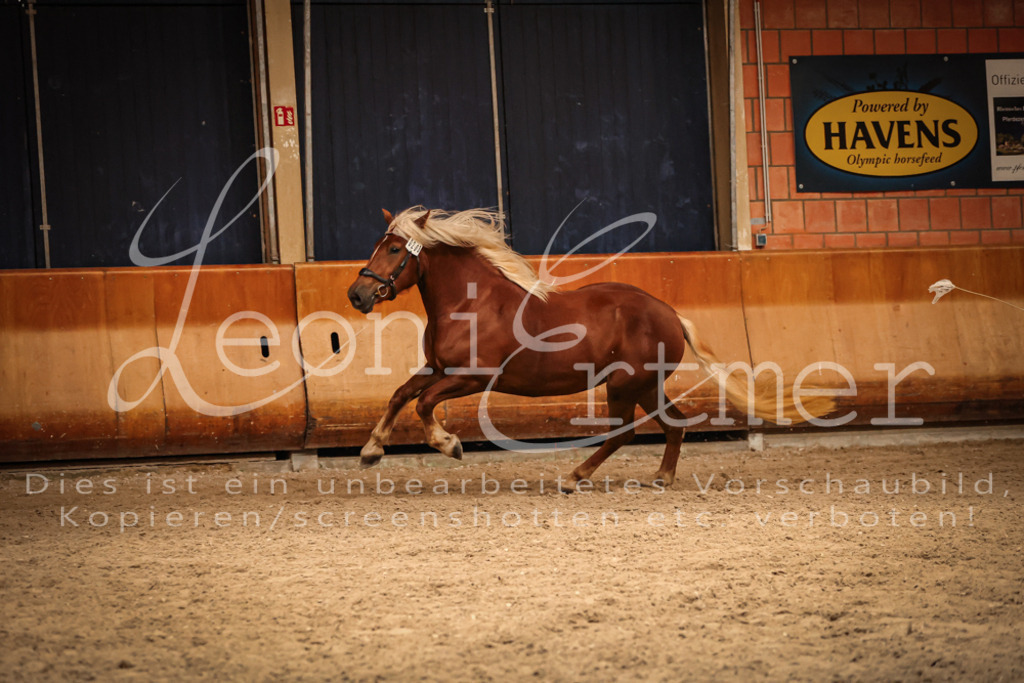 SaFL00502 | Leoni Ertmer Photography - Realisiert mit Pictrs.com