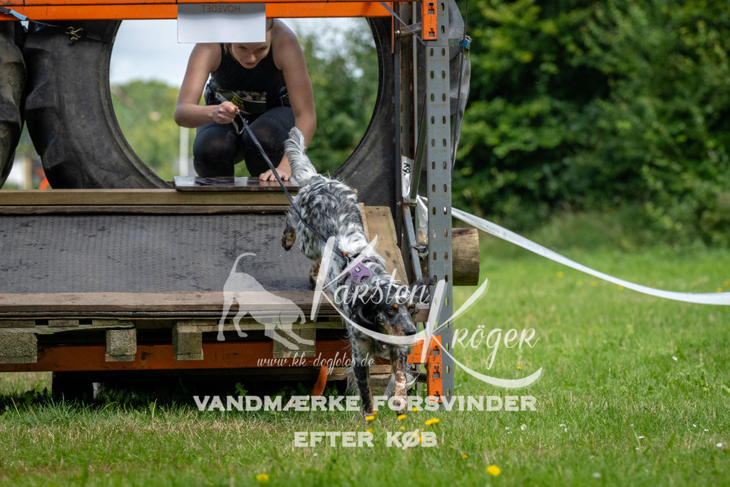 1138_ZZ92874 | kk-dogfotos