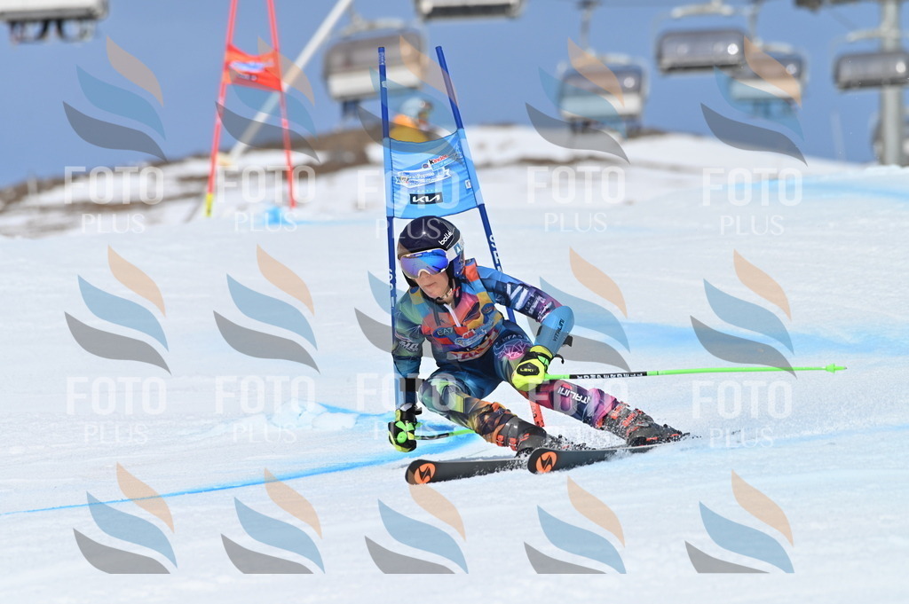 BGV_0989 | holidayphoto