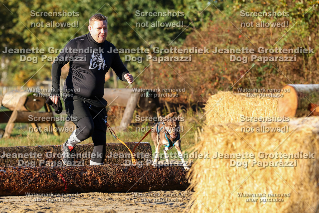 Dog Paparazzi - Strongdog 10-25-714 | Dog Paparazzi Jeanette Grottendiek Fotografie & Videografie - Realisiert mit Pictrs.com