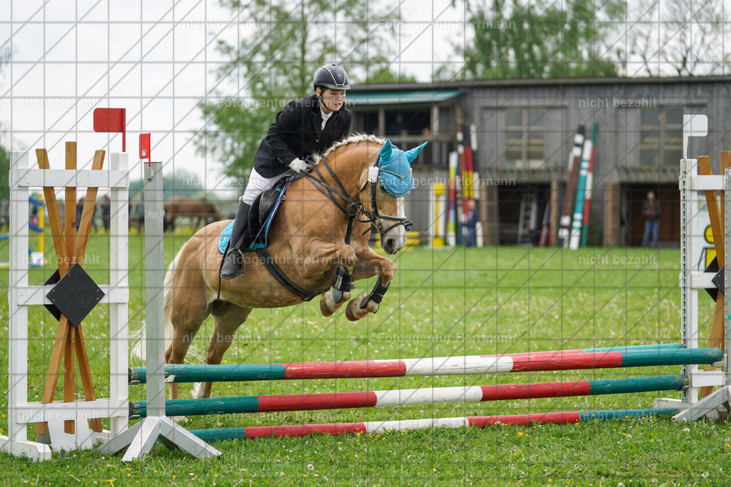 20240509-FAH02382 | Turnierbilder der Turnierfotografen Bayern, Pferdesport Fotografie, Reitsportbilder, Turnier Landberg am Lech, Turnierbilder bayern, Fotoagentur Herrmann