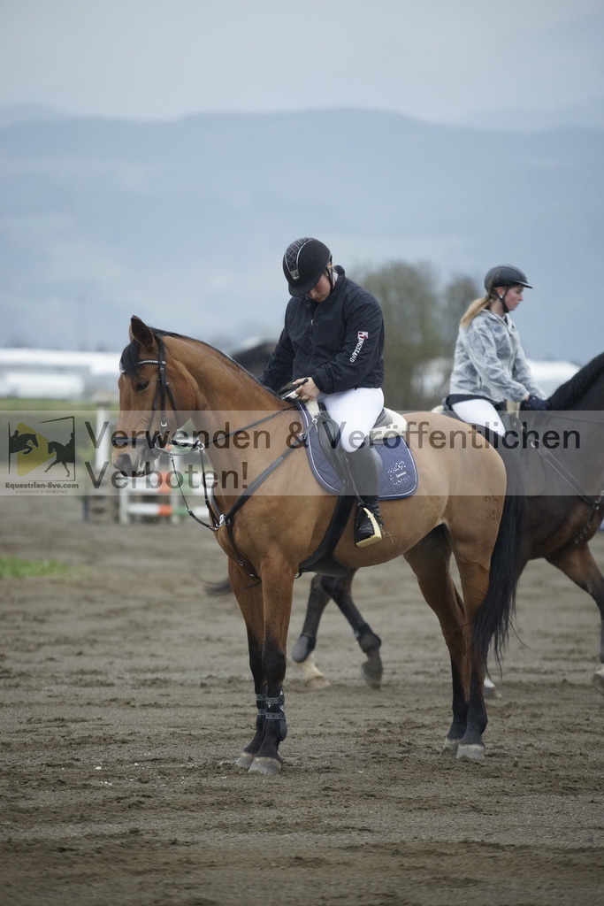 _DSC3356 | equestrian-live-com