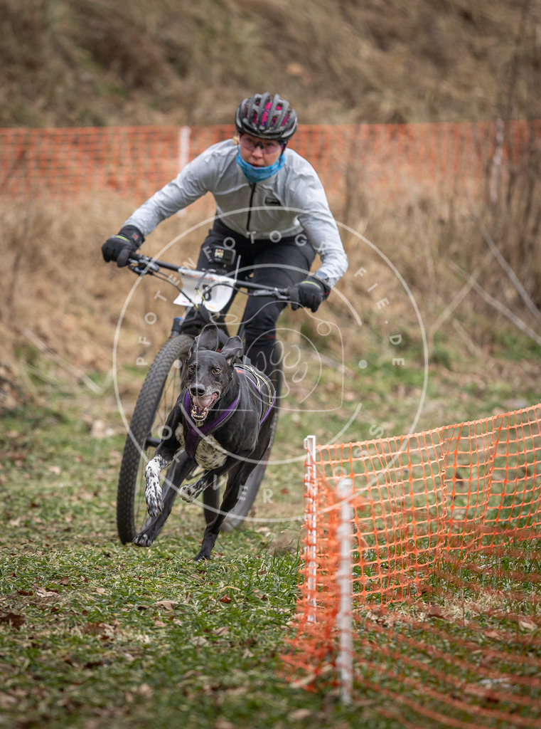 Pfotenfotografie_DV3A6541 | Hundefotografie, Tierfotograf, Pfotenfotografie, Fotoshooting Hund, Hunde Portrait, Hundesport, Hundeportraits, Heideshooting, Hunde, Sportfotograf, Hundefotograf, Turnierhundsport, THS,  - Realisiert mit Pictrs.com