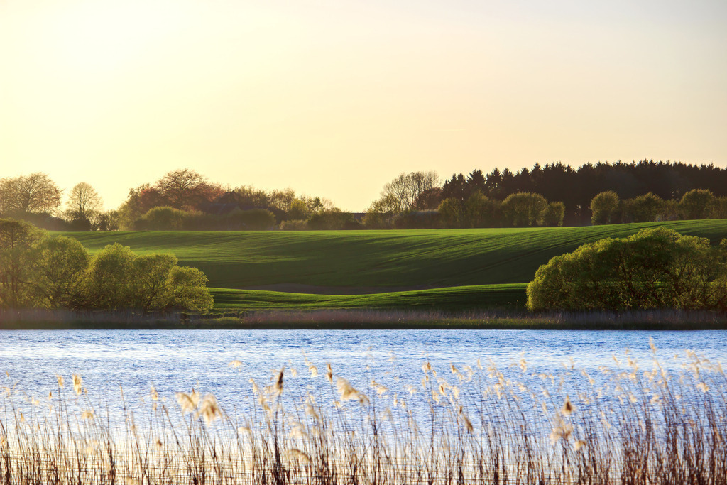 Wandbild: Schlei-Idylle – Sanfte Hügel am Fjord | Die stille Schönheit Norddeutschlands. Dieses Wandbild fängt die malerische Landschaft des Ostseefjords Schlei ein, wo sanft geschwungene, grüne Hügel auf das ruhige Wasser treffen. Die im Morgenlicht leuchtenden Schilfhalme im Vordergrund verleihen der Komposition eine natürliche Tiefe und eine einladende Wärme. Ein harmonisches Kunstwerk, das die friedliche Verbindung von Wasser und weitem Land feiert – ideal, um eine Atmosphäre von ländlicher Geborgenheit und nordischer Frische in Ihr Zuhause zu bringen. - Realisiert mit Pictrs.com