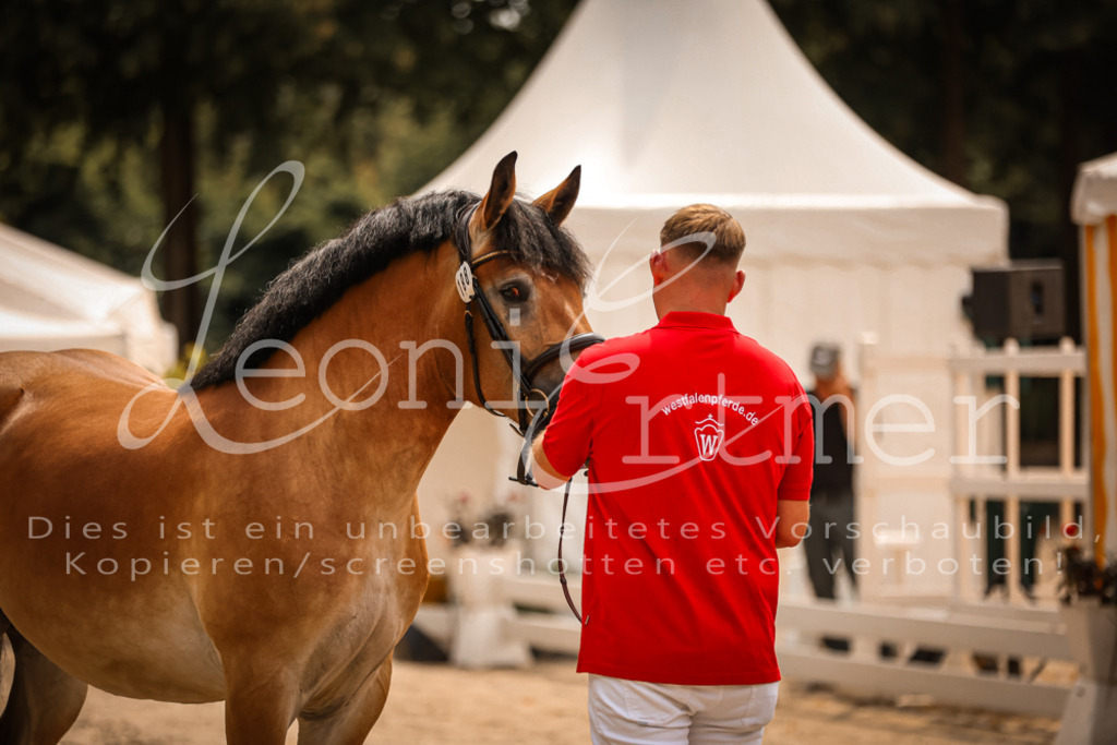 3.Sa00084 | Leoni Ertmer Photography - Realisiert mit Pictrs.com