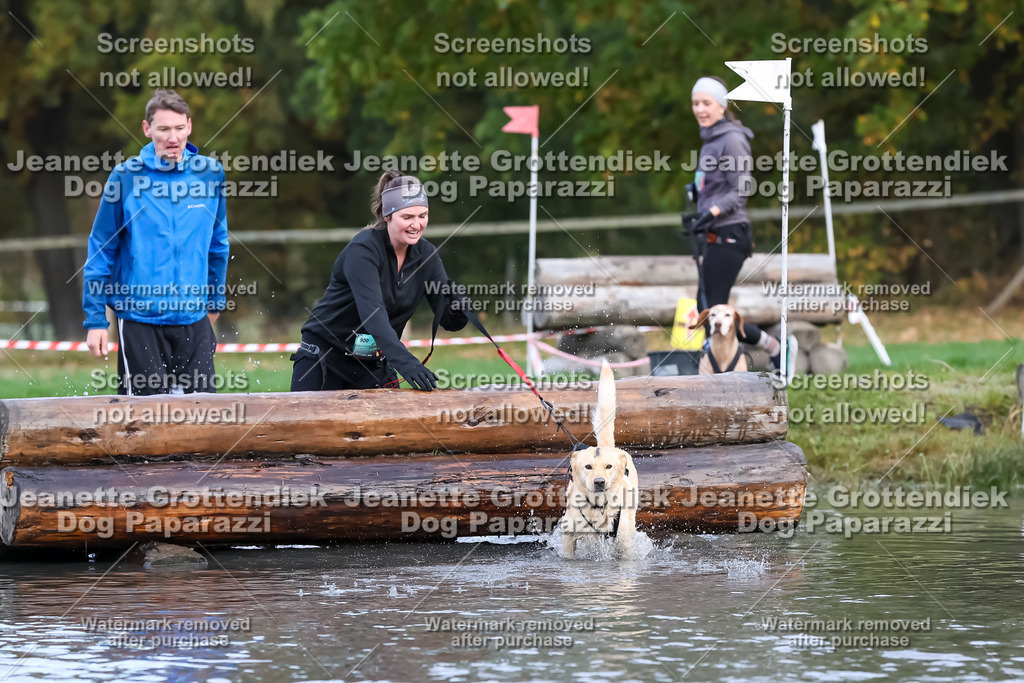 Dog Paparazzi - Strongdog 10-25-6772 | Dog Paparazzi Jeanette Grottendiek Fotografie & Videografie - Realisiert mit Pictrs.com