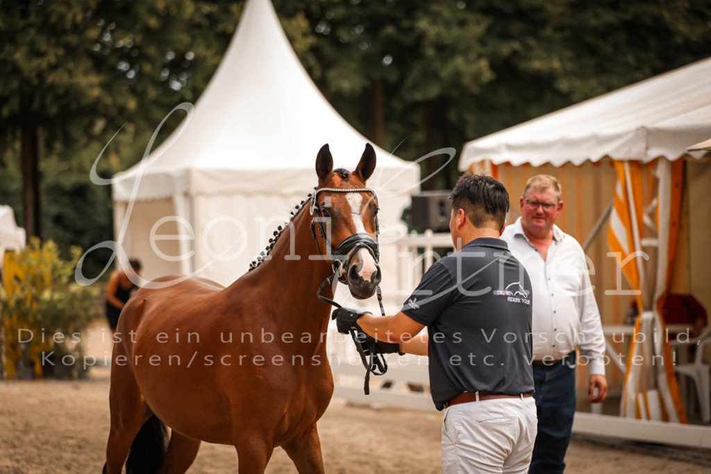 11.So00105 | Leoni Ertmer Photography - Realisiert mit Pictrs.com