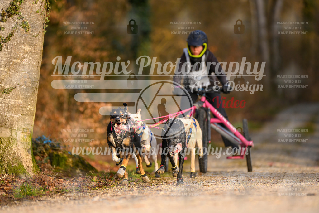 MompixPhotography_6ReiatRennen2026_SO_Kart-21 | PayLife