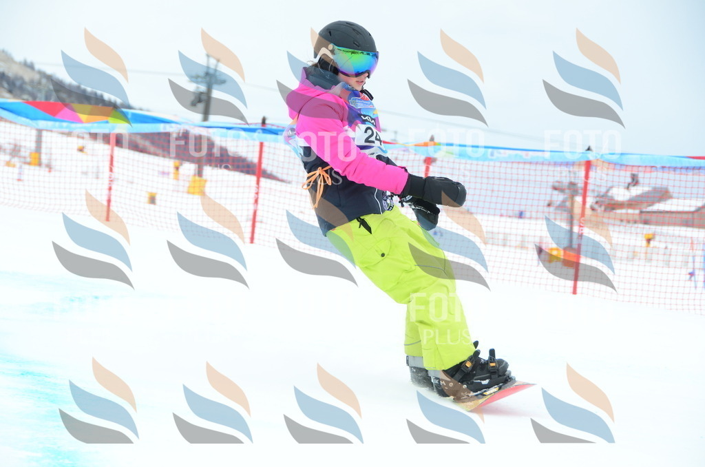 DSC_2274 | holidayphoto